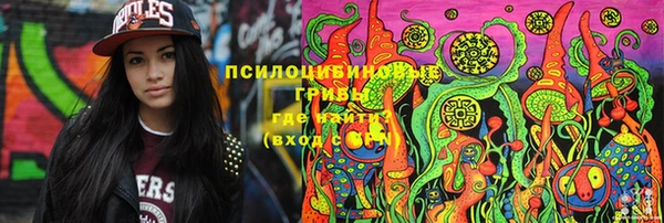 марки lsd Белокуриха