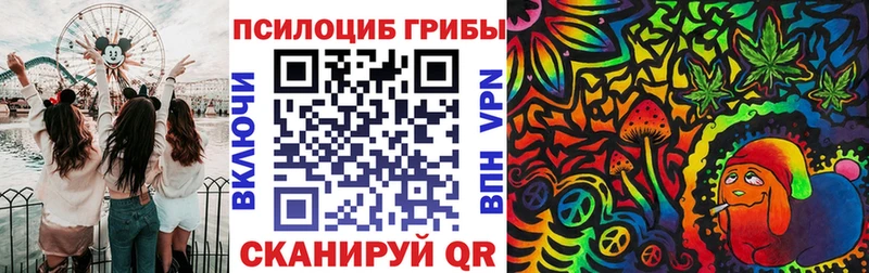Псилоцибиновые грибы Magic Shrooms  blacksprut ССЫЛКА  Дрезна 